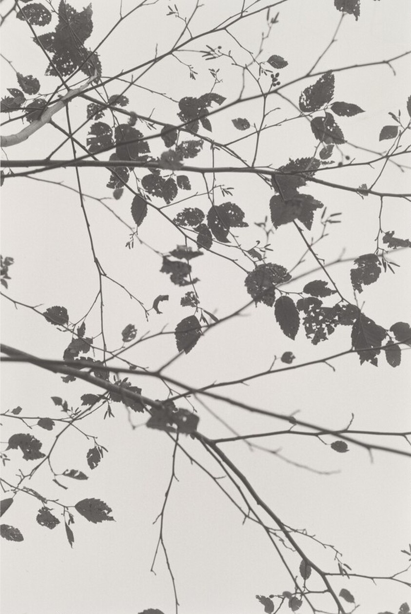 Neahkahnie Mountain, Oregon