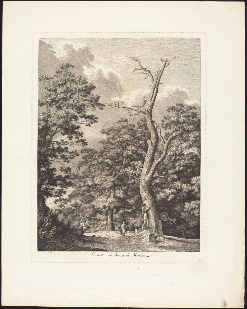 Entrata nel bosco di Marino