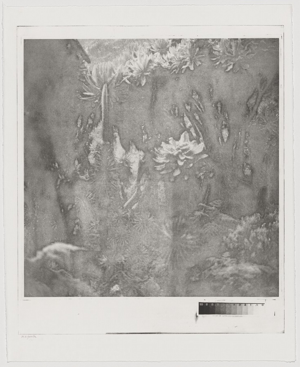 Fullmoon@Rwenzori: Mountains of the Moon [working proof 3]