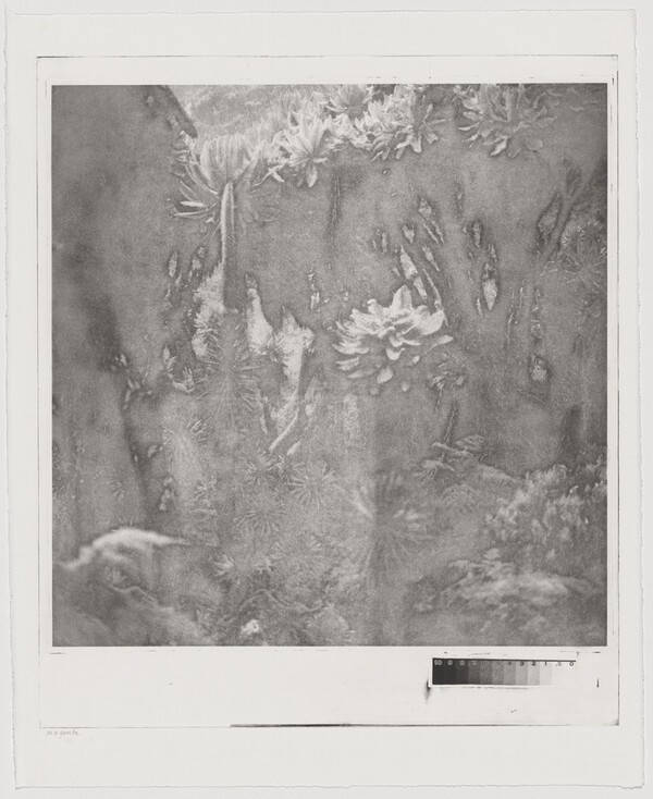 Fullmoon@Rwenzori: Mountains of the Moon [working proof 3]