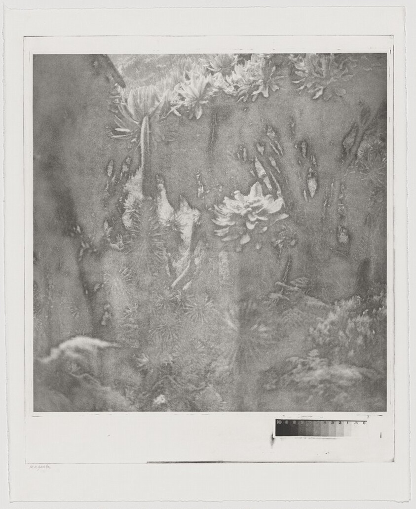 Fullmoon@Rwenzori: Mountains of the Moon [working proof 3]