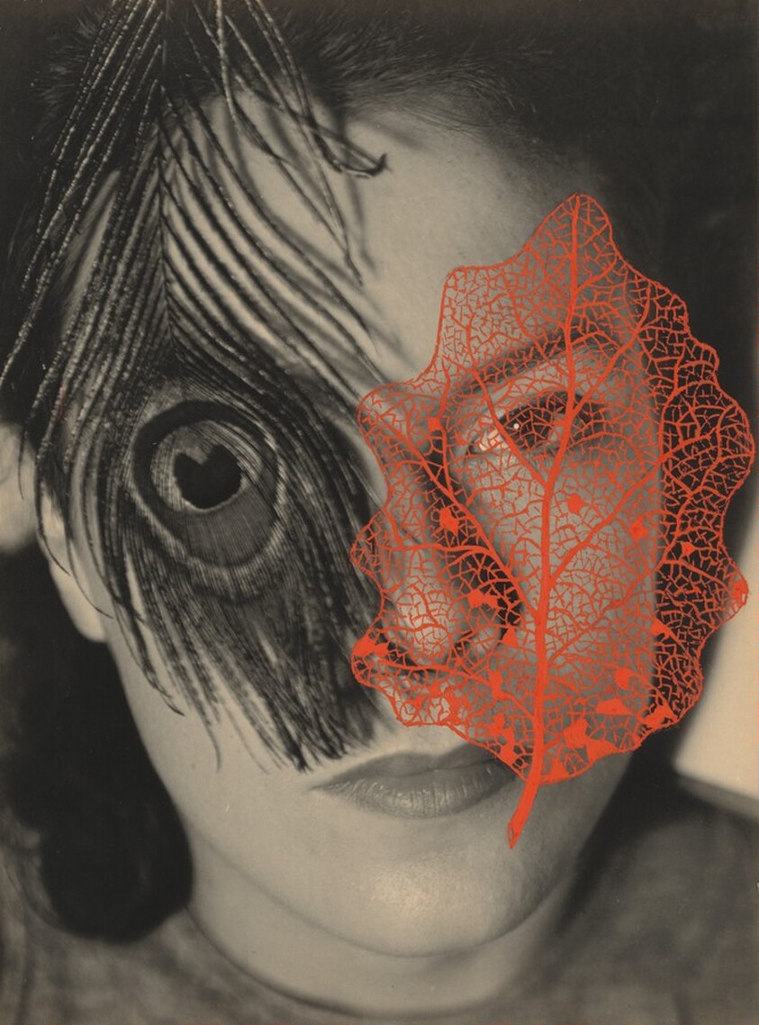 Juliet with Peacock Feather and Red Leaf