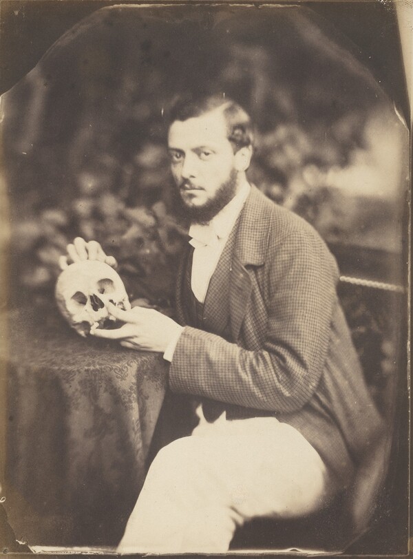 A Vanitas