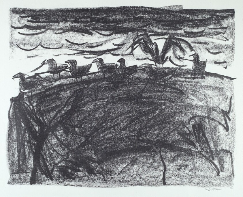 IV from Sea Bird Saga