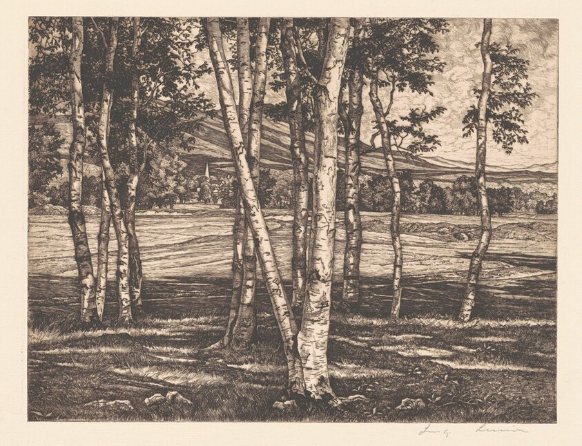 Edge of the Birches