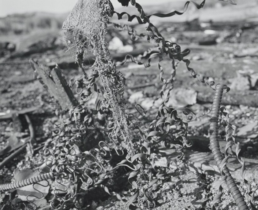 San Quentin Point, no. 42