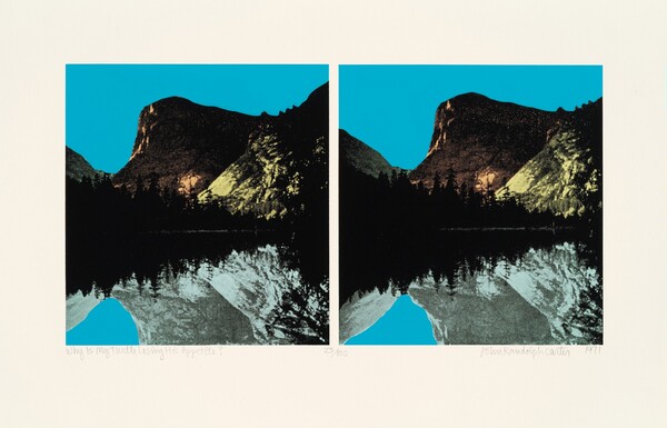 Why is my Turtle Losing His Appetite?