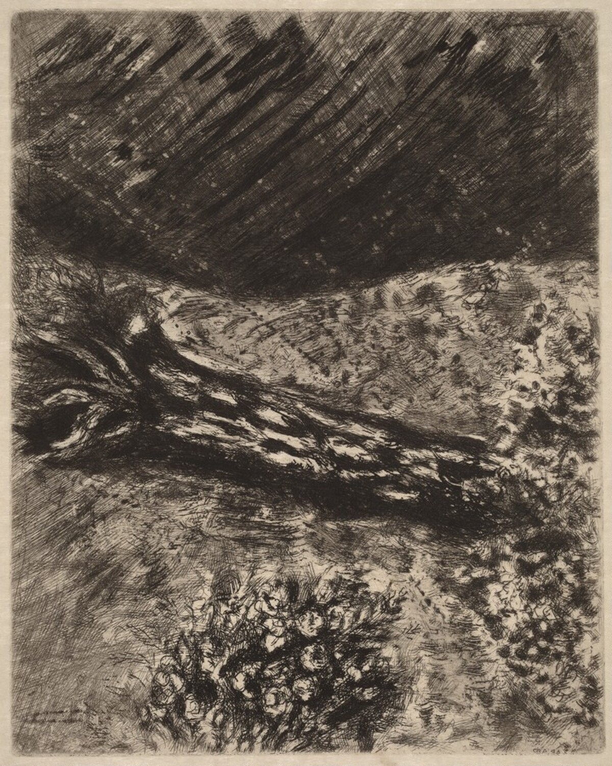 The Oak and the Reed