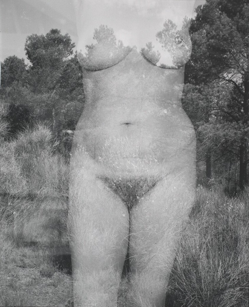 Eleanor, Aix-en-Provence