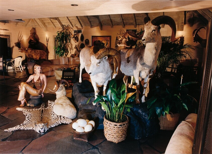 Third World Blondes Have More Money (Raquel 20 Animales)