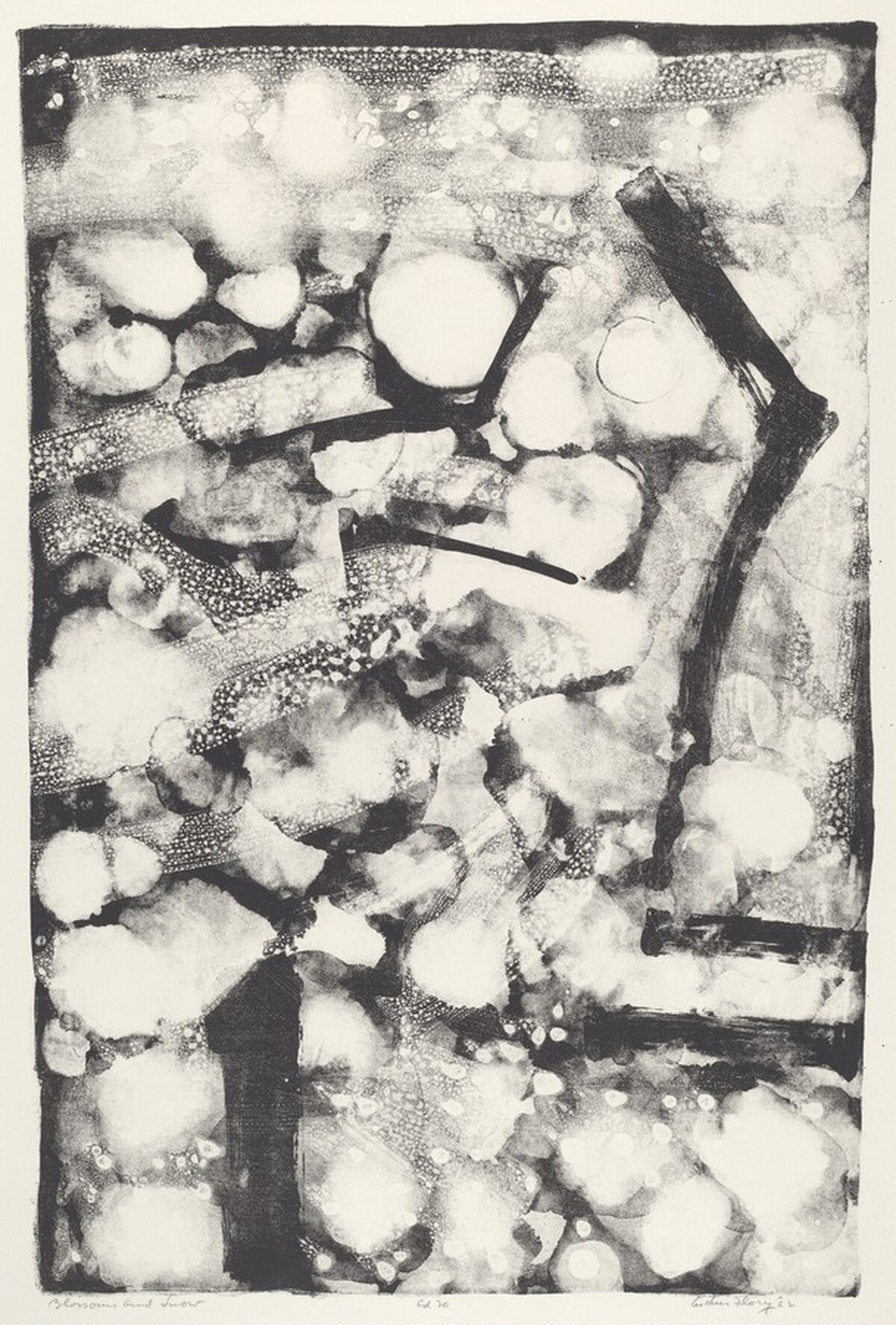 Blossoms and Snow