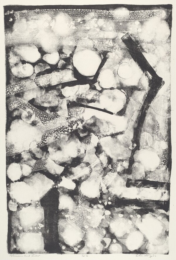 Blossoms and Snow