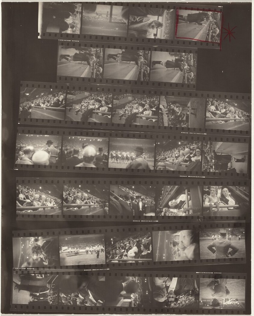 Horse show opening 6