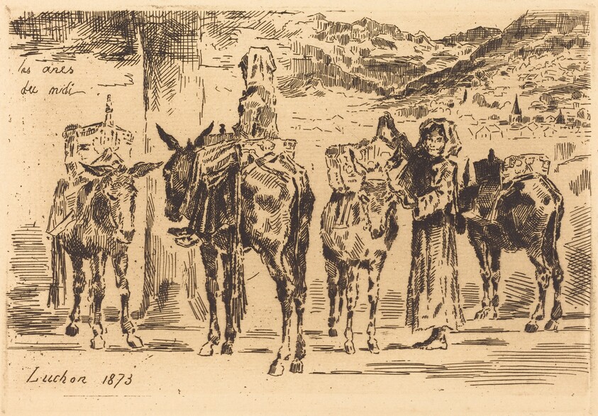 Feuilles d'Anes du Midi