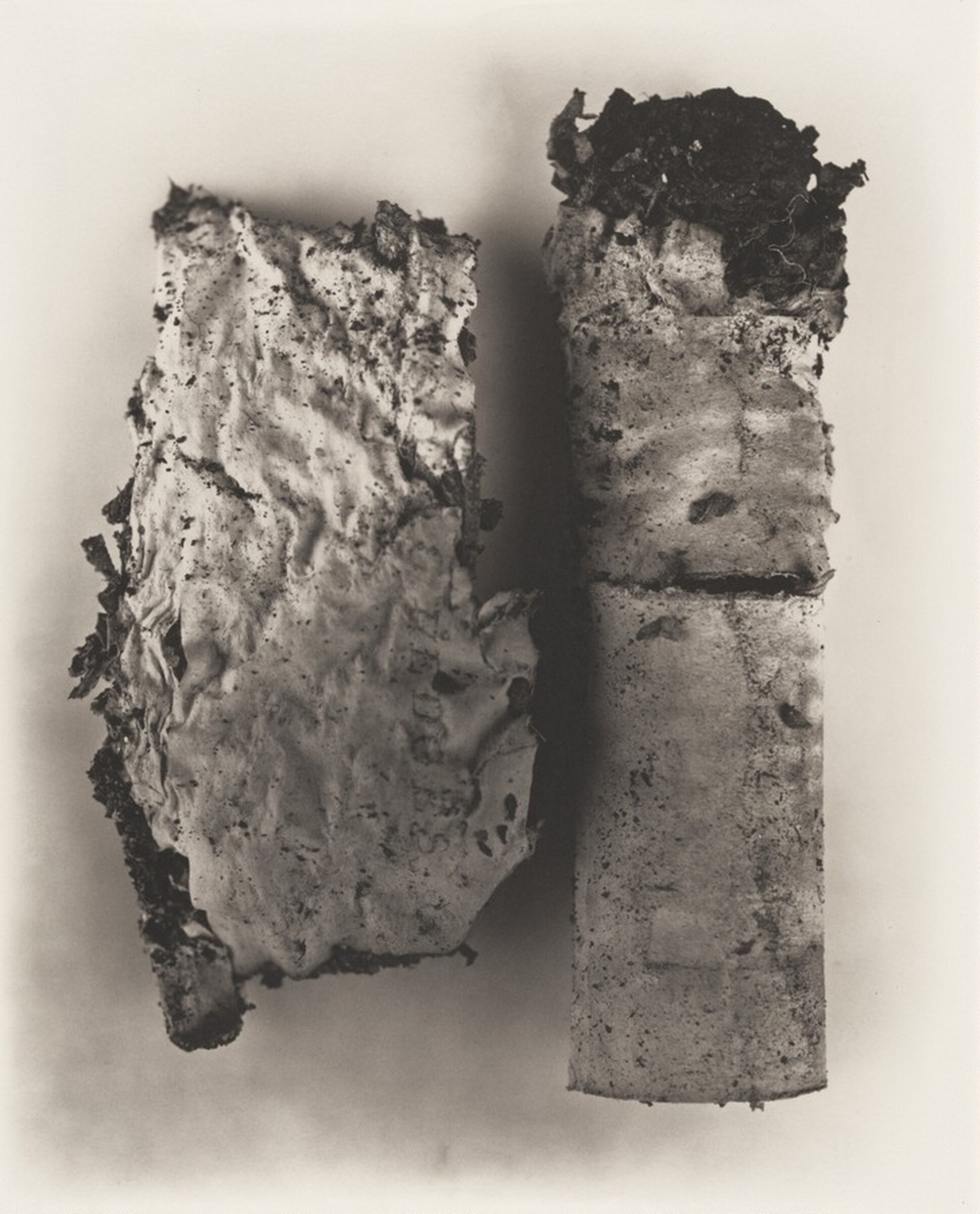 Cigarette No. 42, New York, Irving Penn, 1972