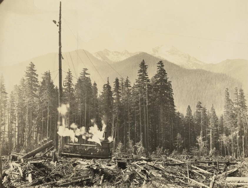 St. Paul and Tacoma Lumber Company, Nooksack Camp