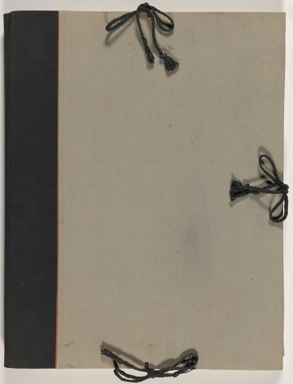 Graphic Processes