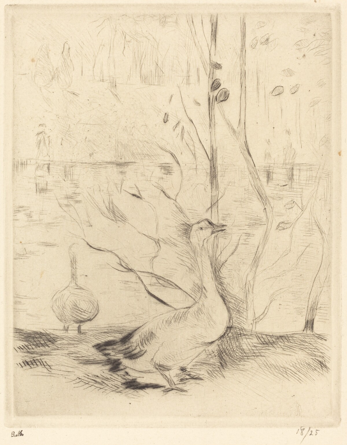 Walk in the Boulogne Wood