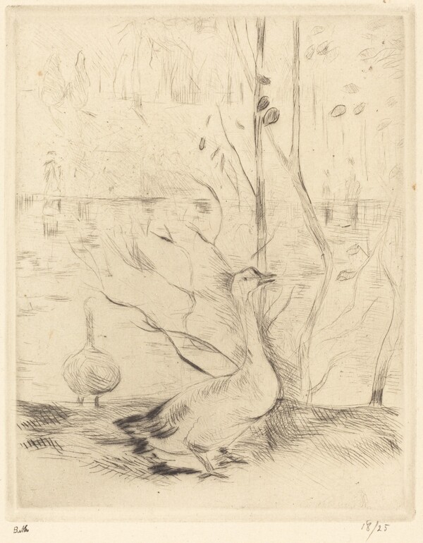 Walk in the Boulogne Wood