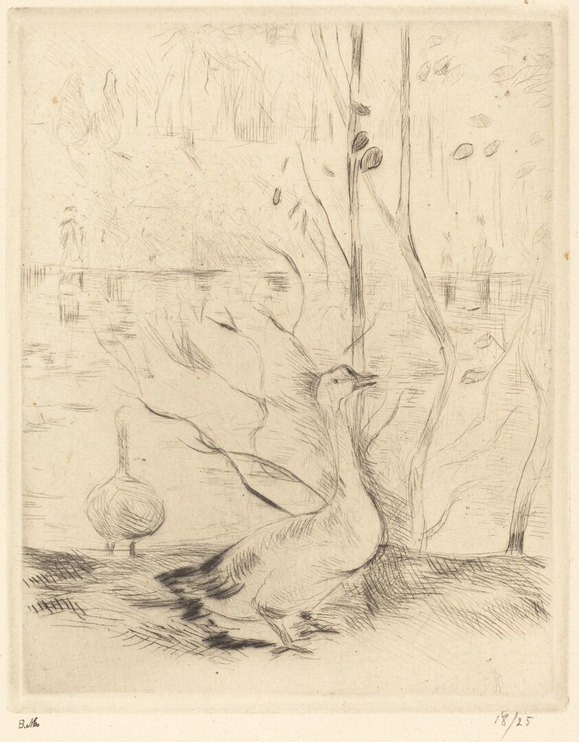 Walk in the Boulogne Wood