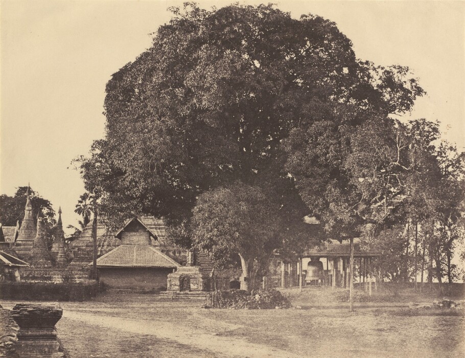 The image shows a ground-level view with a prominent tree slightly off-center to the right. The horizon is obstructed by tall trees and structures surrounding the area. On the left, architectural features such as spires and rooftops can be seen among the greenery. The image appears to have a vintage style, possibly sepia-toned. The overall color scheme is limited to shades of brown and dark tones. The tree in the foreground is lush, casting shade, while a structure with a large bell is partially visible in the distance.