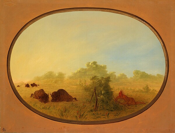 Pawnee Indians Approaching Buffalo