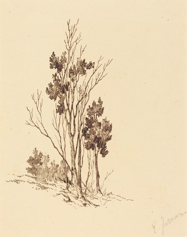 Trees