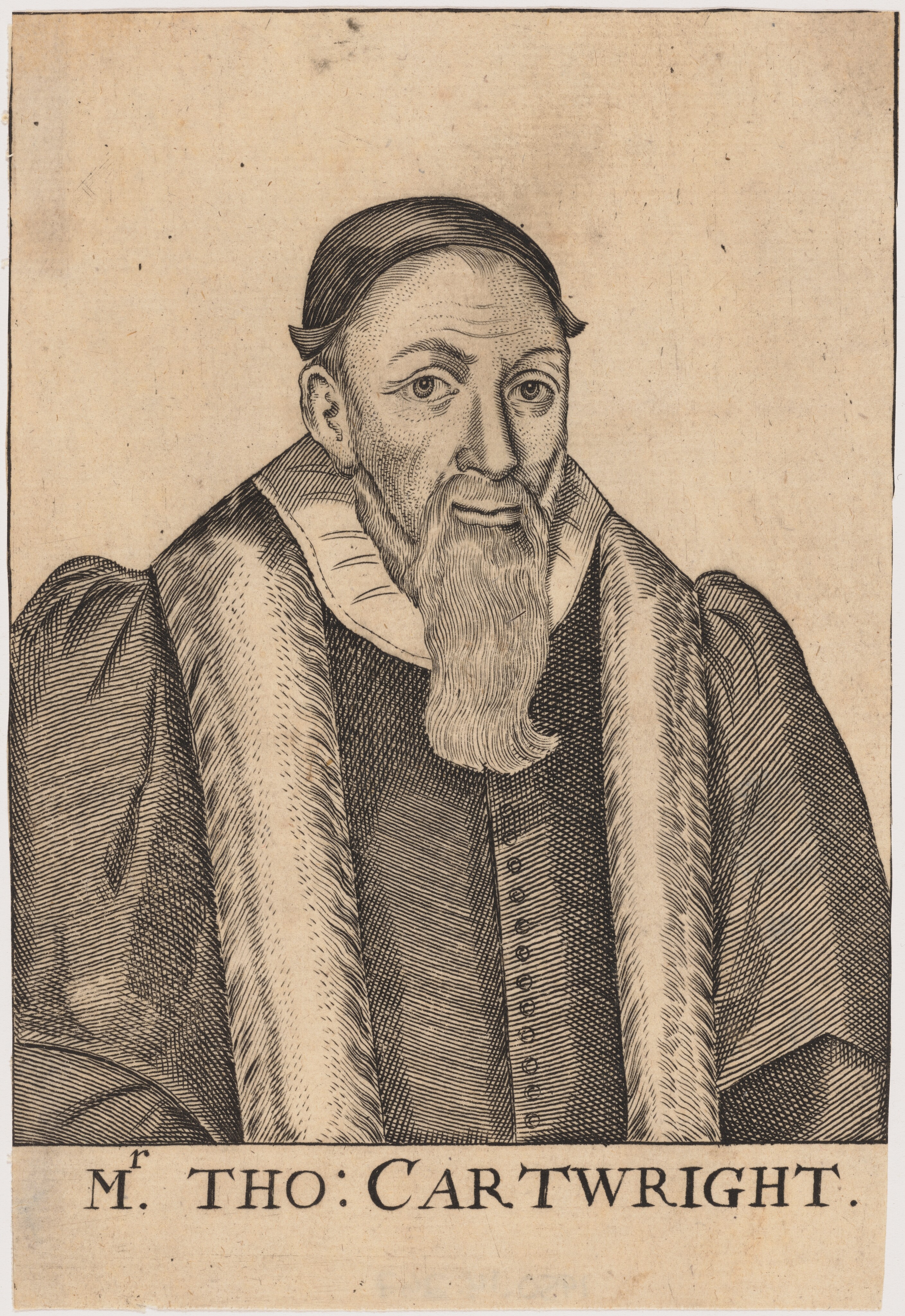 Thomas Cartwright, Puritan Divine by Unknown 19th Century