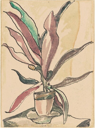 Plant