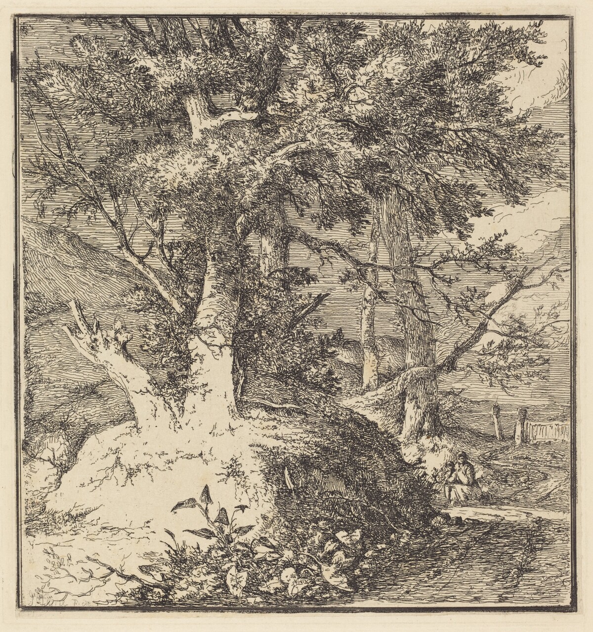 Tree on a Mound