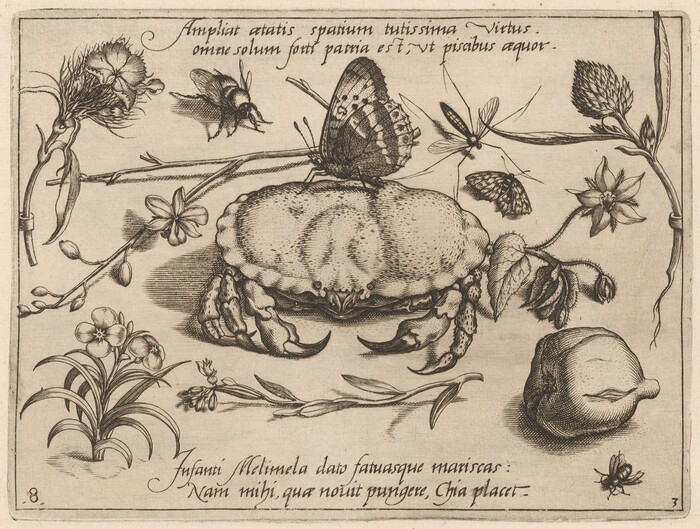 The image features a crab at the center with a butterfly on its back, surrounded by plant stems and flowers. The color scheme includes shades of brown and sepia. The crab is central, with the butterfly slightly to the left. A bee hovers to the left of the crab, and a mosquito-like insect is above to the right. Various branches with flowers are visible across the frame, and a lemon is placed in the bottom right corner.