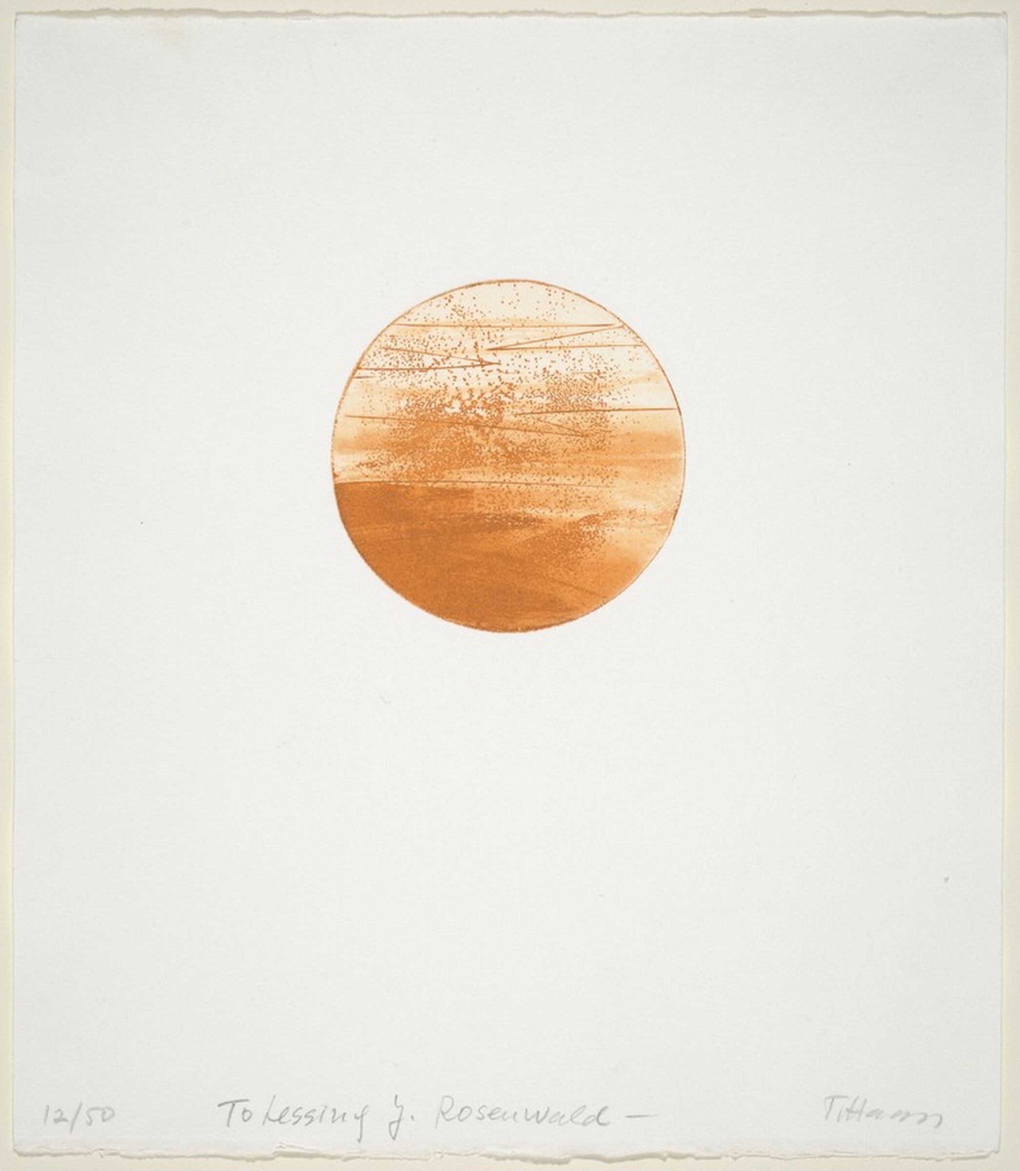 Untitled, Terry Haass