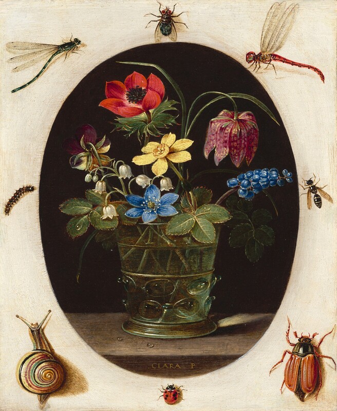 A glass holding a loose bouquet of flowers set within an oval is surrounded by eight insects against an off-white surface in this vertical still life painting. It is impossible to tell whether the oval is an opening piercing the white surface or if the still life is an oval-shaped painting sitting on top of the white surface. The glass holding the flowers has straight, slightly flaring sides with a ring of textured knubs around the bottom third. Flowers in the glass include a white lily of the valley, yellow and purple violet, blue grape hyacinth, yellow narcissus, red poppy, upside-down cup-shaped pink snake’s head fritillary, and stems of greenery. The bouquet is lit from the left, and a ray of light focused by the glass falls across the back edge of the wooden ledge on which the glass sits. Two drops of water bead on the ledge, and the artist signed the front face of the ledge, “CLARA P.” The background behind the flowers within the oval is black. The bugs on the white surface are much larger in scale, painted precisely so anatomical details can be made out. Across the top are a dragonfly with a green body, a house fly with red eyes, and a dragonfly with a red body. A fuzzy caterpillar is to the left of the oval and a hornet is to the right. Across the bottom are a snail, a ladybug, and a beetle with a black body and red wings and legs.