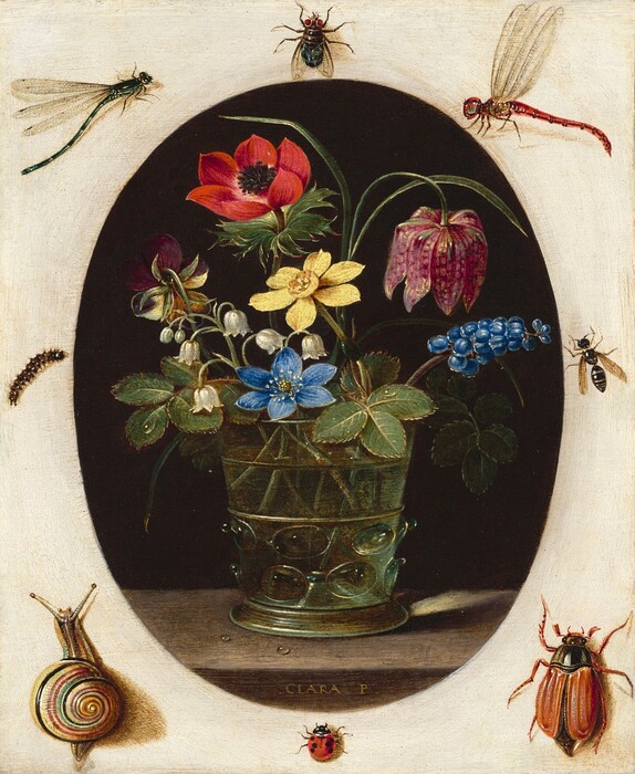 A glass holding a loose bouquet of flowers set within an oval is surrounded by eight insects against an off-white surface in this vertical still life painting. It is impossible to tell whether the oval is an opening piercing the white surface or if the still life is an oval-shaped painting sitting on top of the white surface. The glass holding the flowers has straight, slightly flaring sides with a ring of textured knubs around the bottom third. Flowers in the glass include a white lily of the valley, yellow and purple violet, blue grape hyacinth, yellow narcissus, red poppy, upside-down cup-shaped pink snake’s head fritillary, and stems of greenery. The bouquet is lit from the left, and a ray of light focused by the glass falls across the back edge of the wooden ledge on which the glass sits. Two drops of water bead on the ledge, and the artist signed the front face of the ledge, “CLARA P.” The background behind the flowers within the oval is black. The bugs on the white surface are much larger in scale, painted precisely so anatomical details can be made out. Across the top are a dragonfly with a green body, a house fly with red eyes, and a dragonfly with a red body. A fuzzy caterpillar is to the left of the oval and a hornet is to the right. Across the bottom are a snail, a ladybug, and a beetle with a black body and red wings and legs.