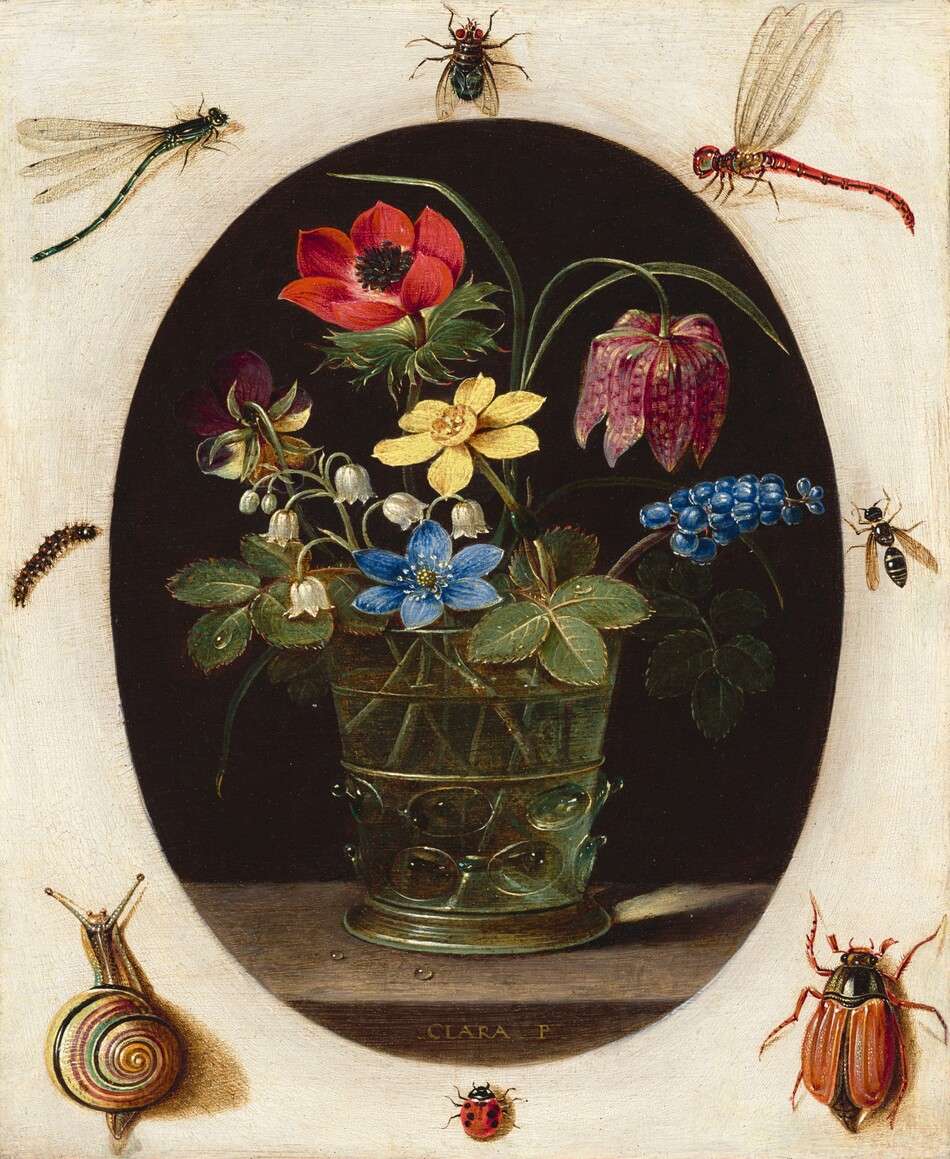 A glass holding a loose bouquet of flowers set within an oval is surrounded by eight insects against an off-white surface in this vertical still life painting. It is impossible to tell whether the oval is an opening piercing the white surface or if the still life is an oval-shaped painting sitting on top of the white surface. The glass holding the flowers has straight, slightly flaring sides with a ring of textured knubs around the bottom third. Flowers in the glass include a white lily of the valley, yellow and purple violet, blue grape hyacinth, yellow narcissus, red poppy, upside-down cup-shaped pink snake’s head fritillary, and stems of greenery. The bouquet is lit from the left, and a ray of light focused by the glass falls across the back edge of the wooden ledge on which the glass sits. Two drops of water bead on the ledge, and the artist signed the front face of the ledge, “CLARA P.” The background behind the flowers within the oval is black. The bugs on the white surface are much larger in scale, painted precisely so anatomical details can be made out. Across the top are a dragonfly with a green body, a house fly with red eyes, and a dragonfly with a red body. A fuzzy caterpillar is to the left of the oval and a hornet is to the right. Across the bottom are a snail, a ladybug, and a beetle with a black body and red wings and legs.