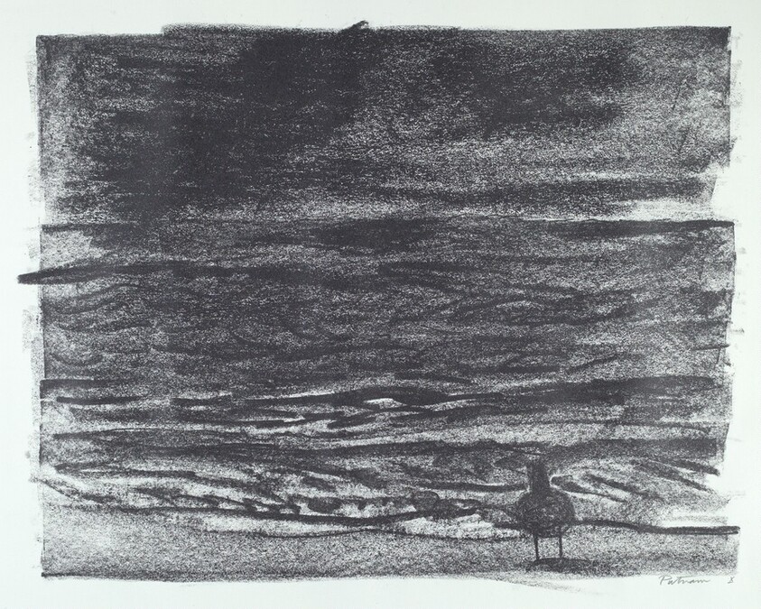 X from Sea Bird Saga