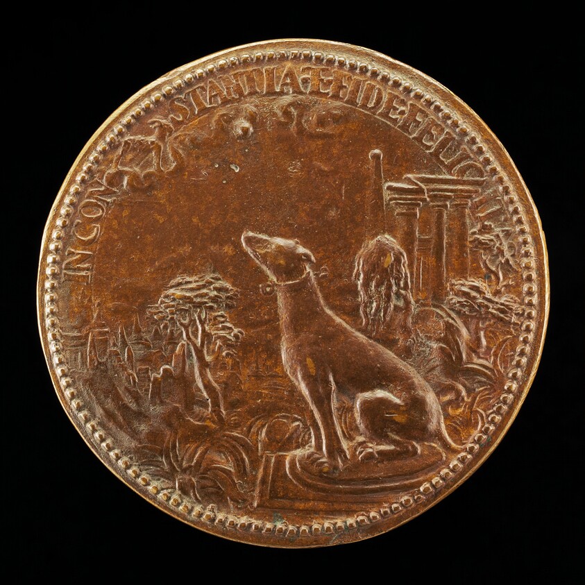 Hound Looking at the Constellation of Capricorn [reverse]