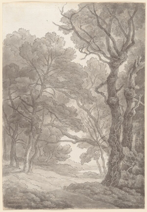 Trees at Fordland, Devon