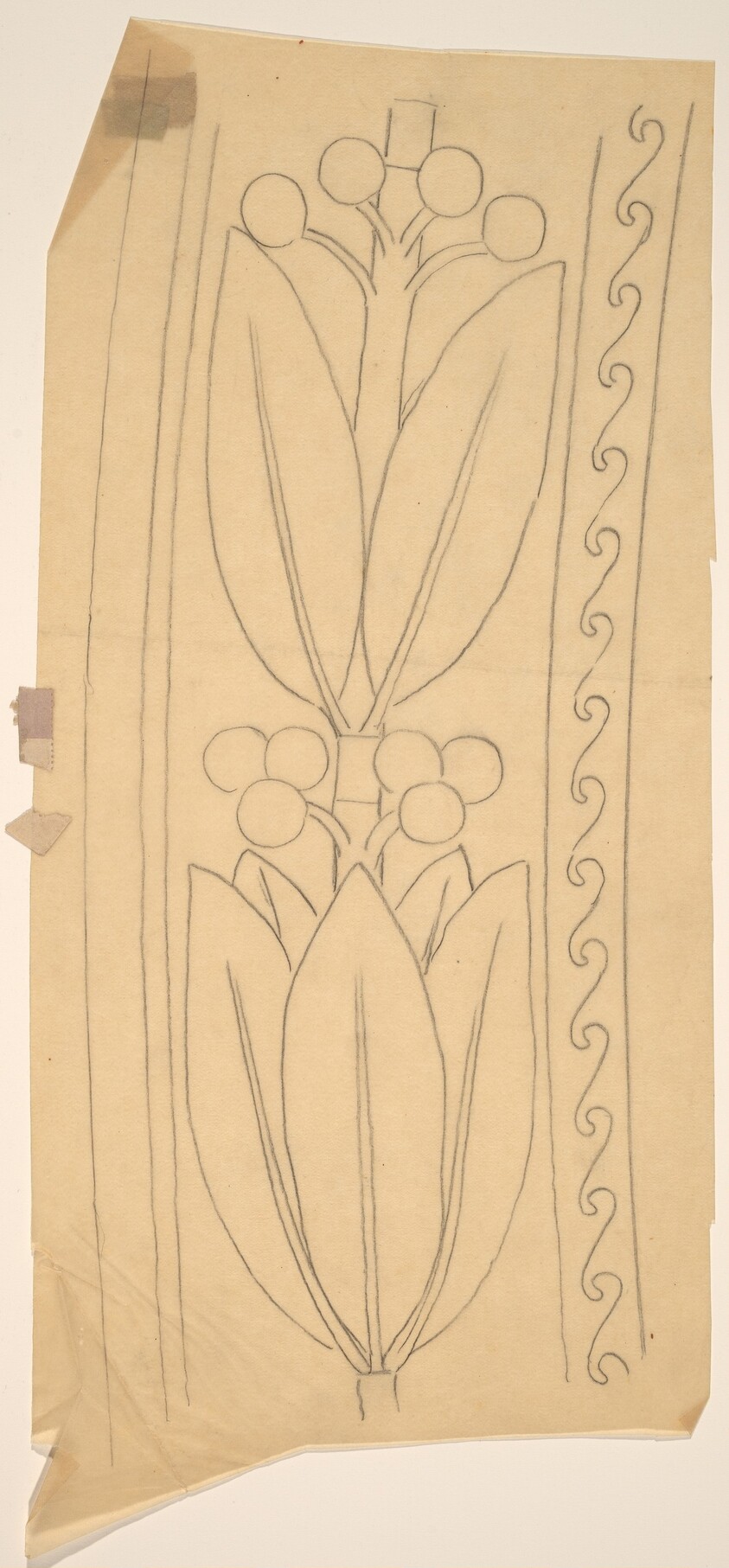 Tracing of a Border Design