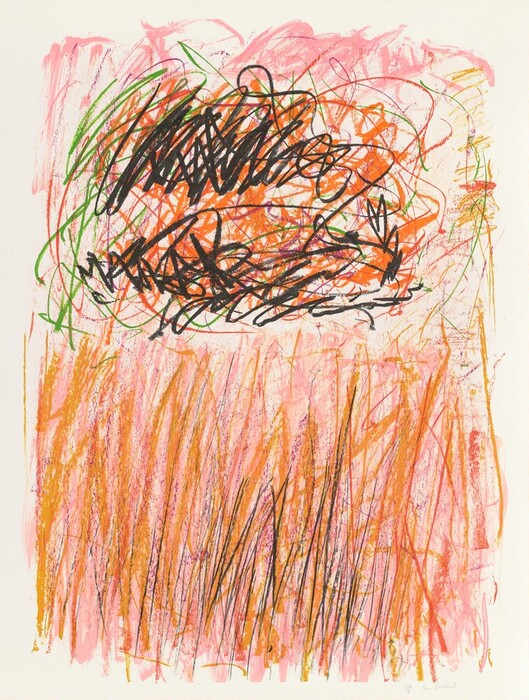 The image shows swirling lines and scribbles in shades of orange, black, and pink. There is a chaotic arrangement that resembles a nest or tangled yarn. The lines are sharp and intersecting, suggesting entangled threads or undergrowth. The contrast of colors creates a dynamic composition.