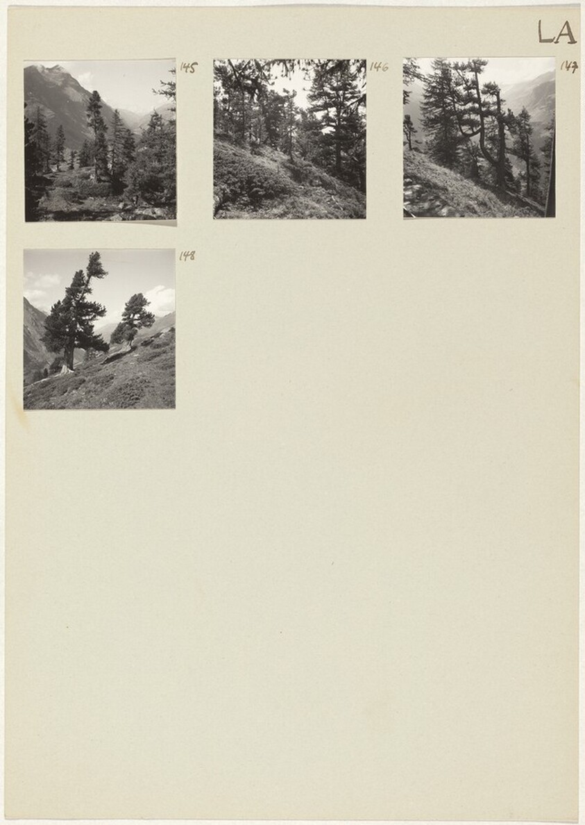 Die Landschaft (Landscape) 145-148