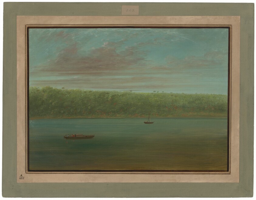 View of the Shore of the Amazon - Boat Sketch