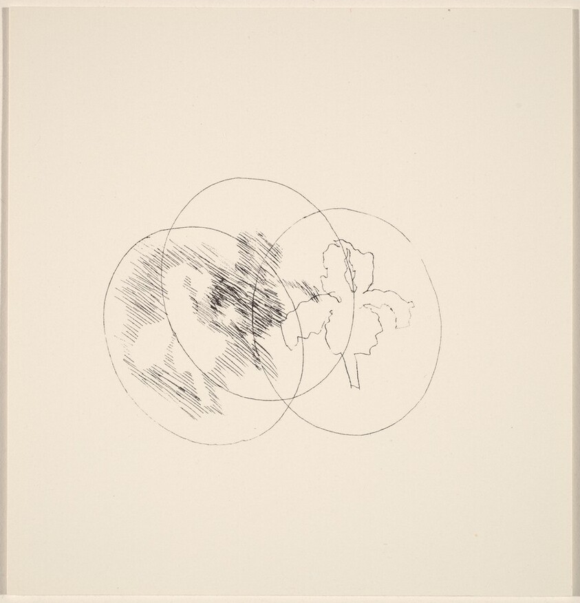 Players Dracula Undecimo