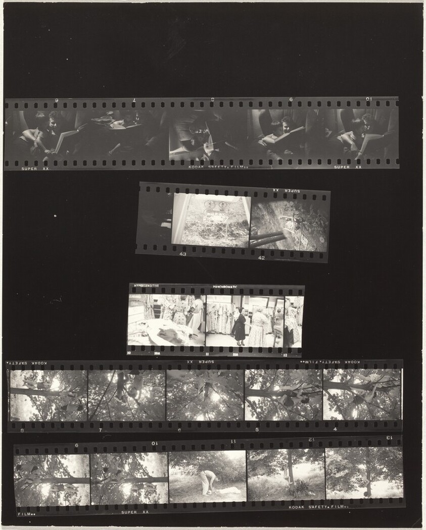 Family and Uribe--Tappan, New York no number