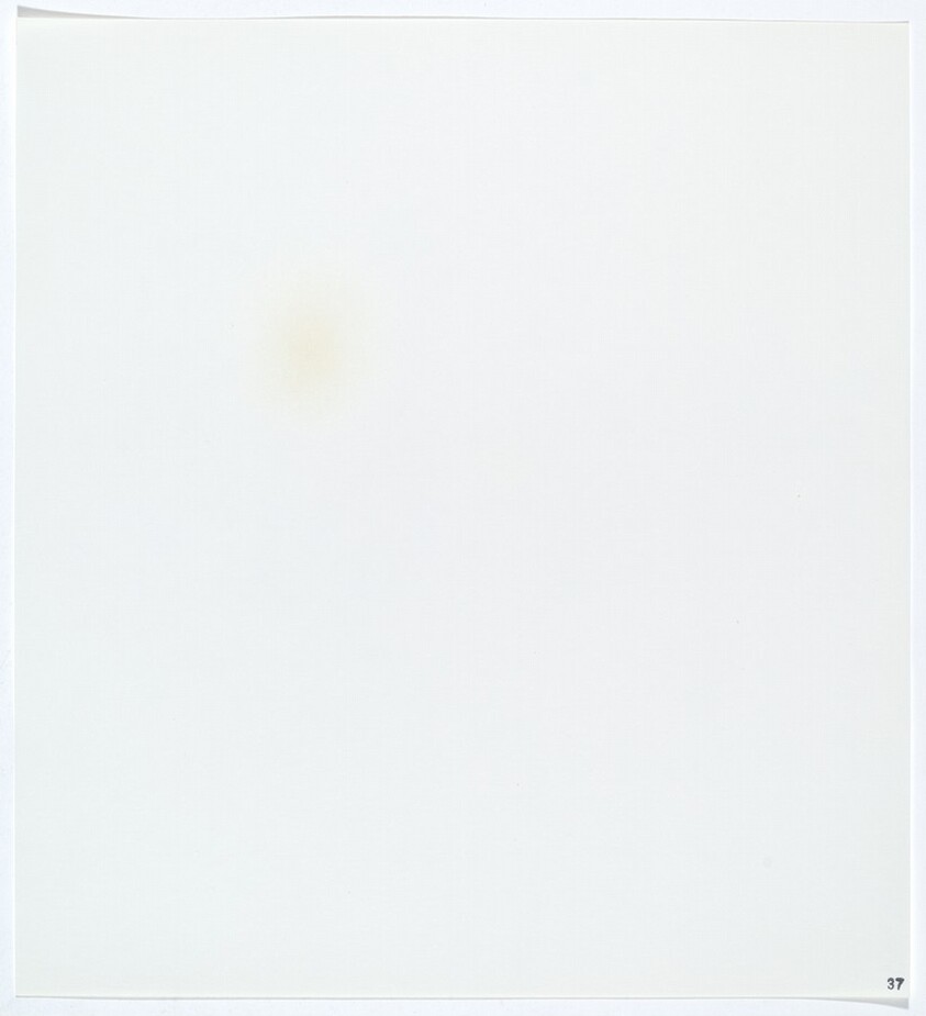 Stains: Varnish (Grumbacher spray damar)