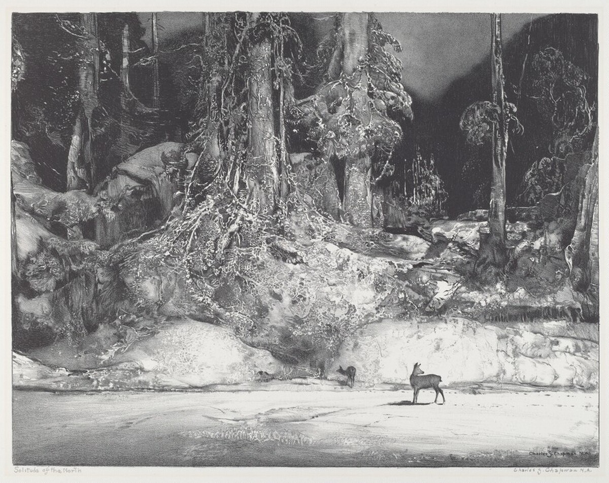 Solitude of the North