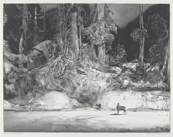 Solitude of the North