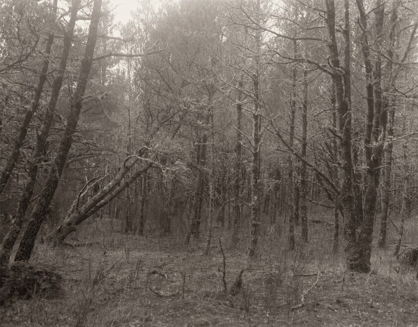 The Interior of the Spit