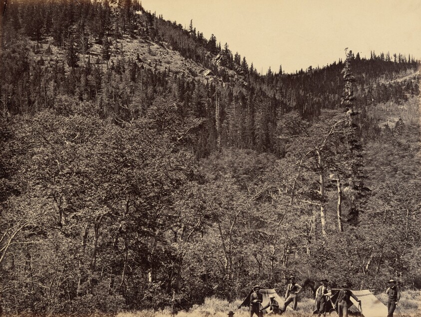 Plate 19. Among the Timber at Head of Little Laramie River
