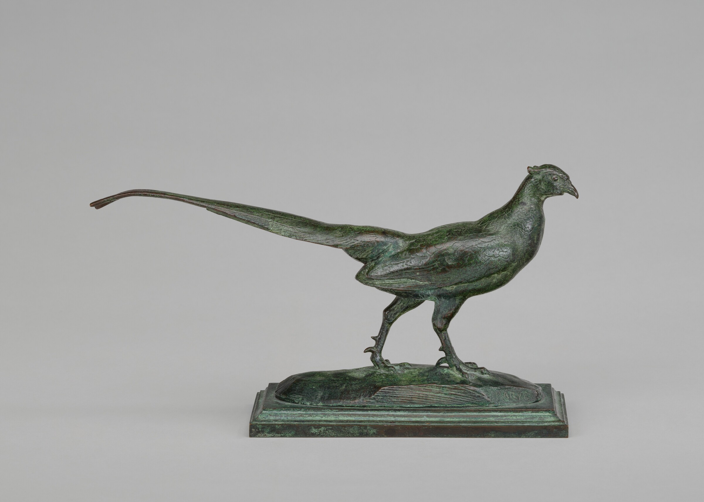 Pheasant, Head to Right, Antoine-Louis Barye, model n.d., cast c. 1845/1874